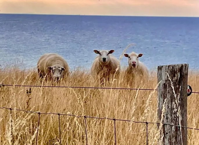 Spacey And Charming 300 M. From Hébergement de vacances *